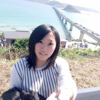 ばかだじょ。を開く